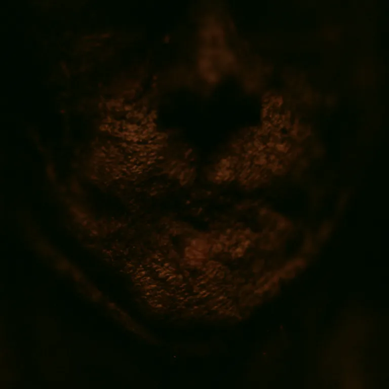 Channel 3 Showed a Room I Recognised — Analog horror cover